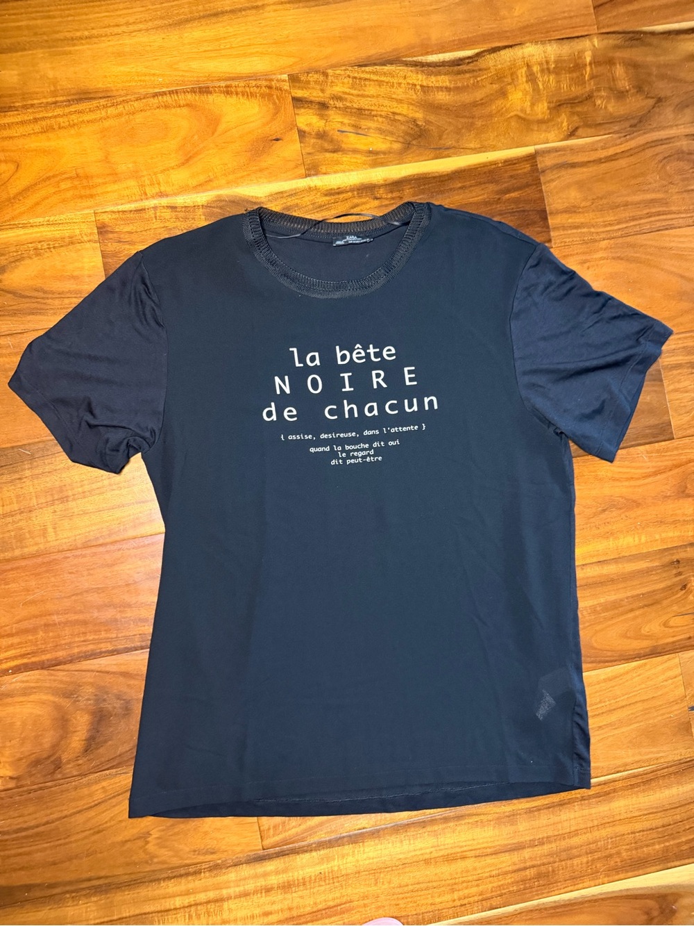 Zara Black Graphic Tee - La bête NOIRE de chacun